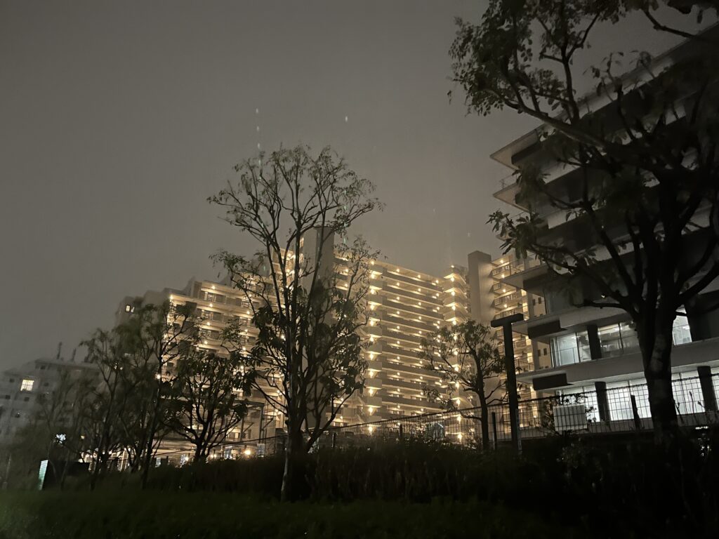 img 3687
