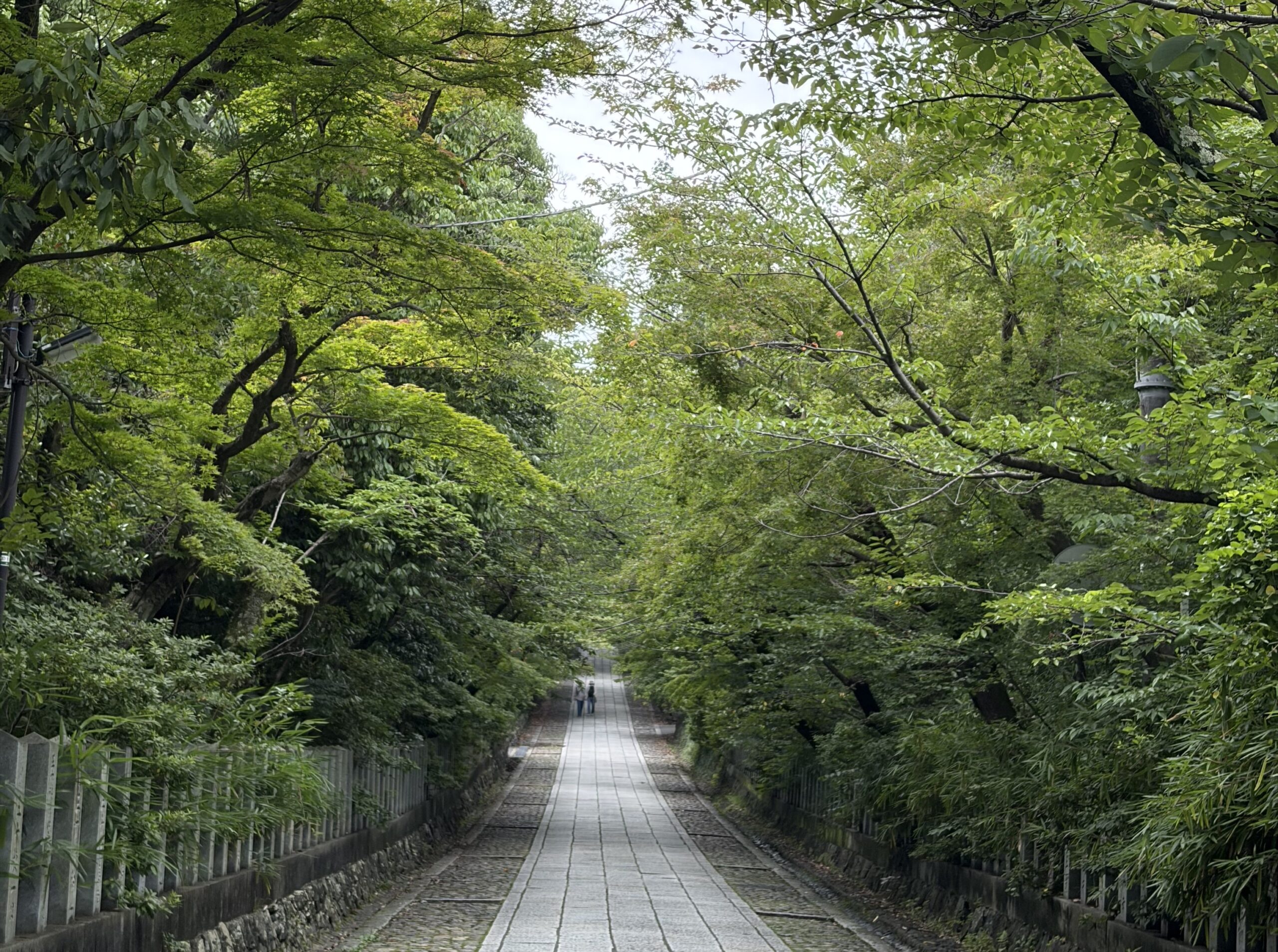 物件一覧 img 0141 2