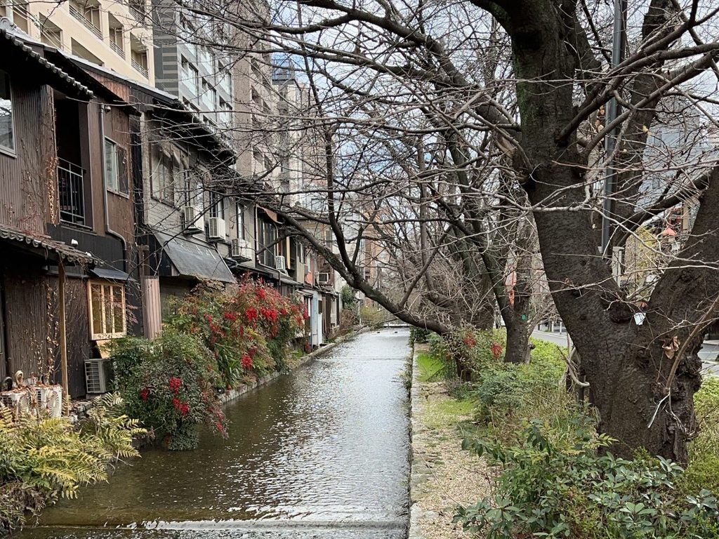 「もうひとつの日常」を京都に持つということ img 8242 yoko